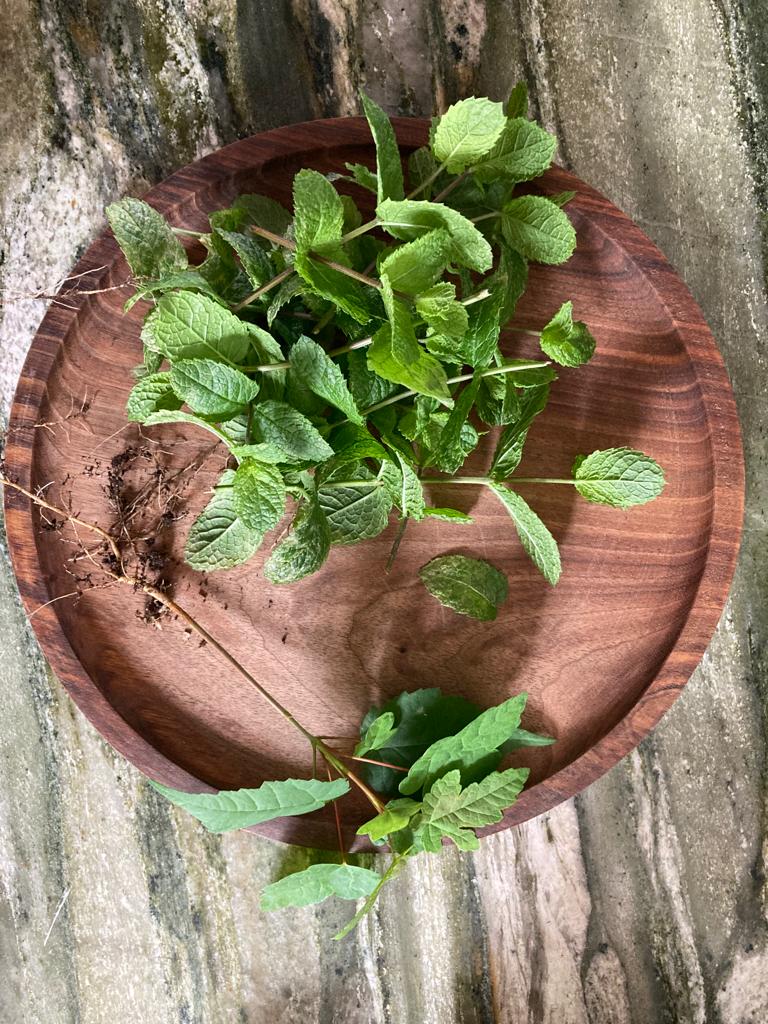 Assiette-en-noyer. recouverte de feuilles de menthe